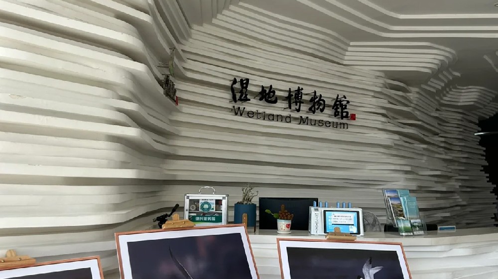 專注、專業(yè)、專心，閩江口濕地博物館項(xiàng)目施工